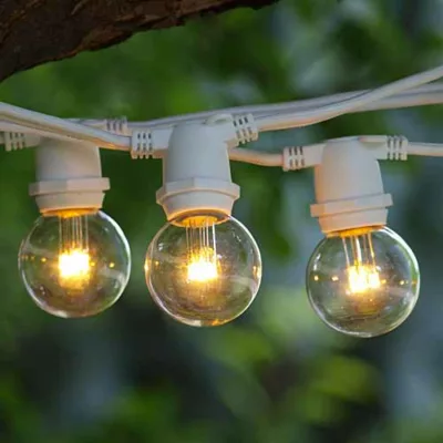 Rent a 25 Foot String - Small Globe Canopy Lights from Pasco Rentals!